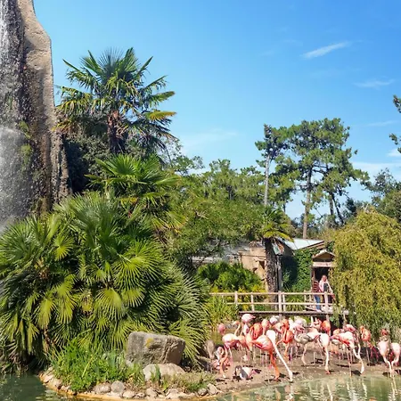 Lovely In With Wifi Руайян